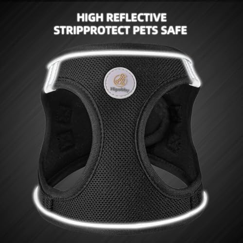 Dog Harness and Leash Set, No Pull Soft Mesh Puppy Harness for Small Medium Dogs, Cats - Step in Adjustable Reflective Pet Harness with Buckle and Double D-Rings - Black, XS - color: Black, size: XS (Chest: 12.5"-14")