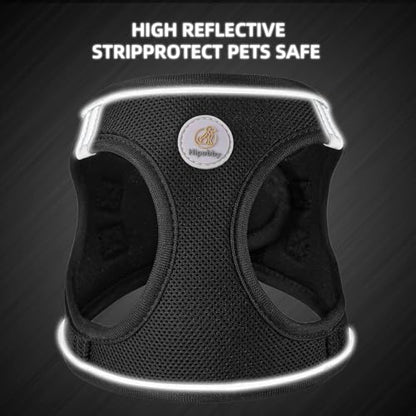 Dog Harness and Leash Set, No Pull Soft Mesh Puppy Harness for Small Medium Dogs, Cats - Step in Adjustable Reflective Pet Harness with Buckle and Double D-Rings - Black, XS - color: Black, size: XS (Chest: 12.5"-14")