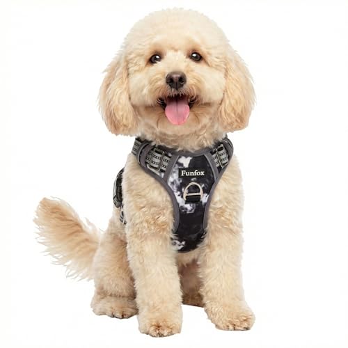 Funfox Dog Harness No Pull, Adjustable Pet Vest Harness, Super Soft Material with Vertical Handle Easy Control, Reflective Night Walking, 2 Leash Clips for Small Sized Dogs, Misty Gray, S - color: Misty Gray, size: Small