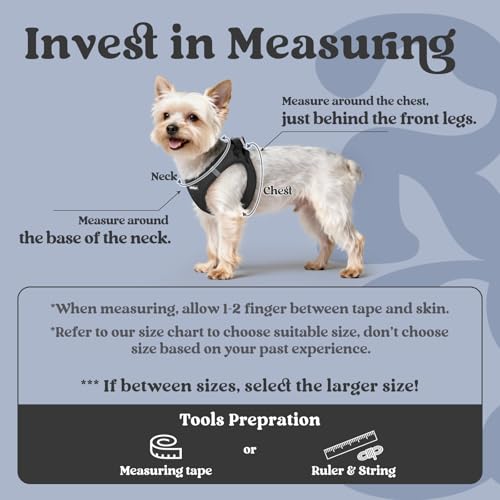 rabbitgoo Small Dog Harness, Step-in Soft Mesh Puppy Vest with Safety Buckle, Breathable Reflective Pet Harness for Small Medium Dogs, Black L - color: Black, size: L(chest:18.2"-20.5")