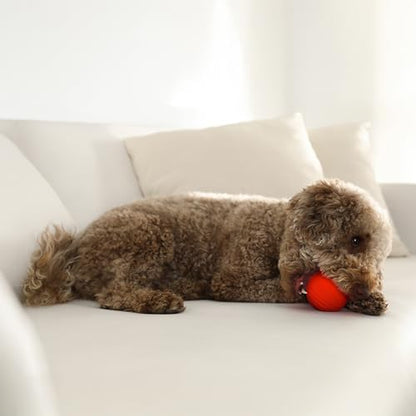 Playology Dog Toys | Dual Layer Ball Durable Chew Toy for Tough Chewers | Beef Scented Medium Dog Toy | Chew Toys for Dogs - size: Medium, style: Beef