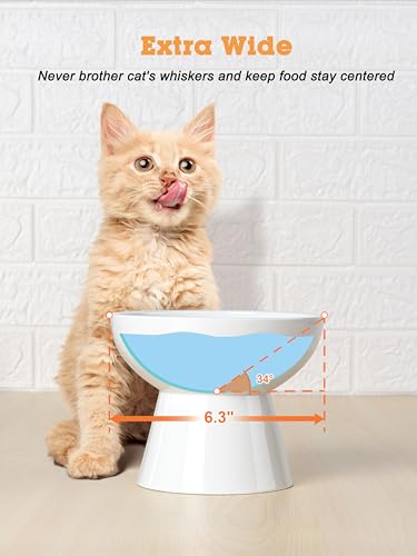 LoeJan Elevated Cat Food and Water Bowls Set, Extra Wide and Raised Ceramic Feeder, Anti-Vomit Whisker-Free Pressure Feeding Bowl for Kittens Adult Small Dogs - color: White, size: 2 Pack (Food & Water Bowls)