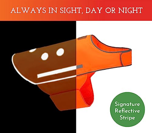 SPOT THE DOG! Reflective Dog Vest - High Visibility Safety Dog Accessories, Fluorescent Dog Apparel for Walking, Hiking & Camping, Hunting (Blaze Orange, Small) - size: Small