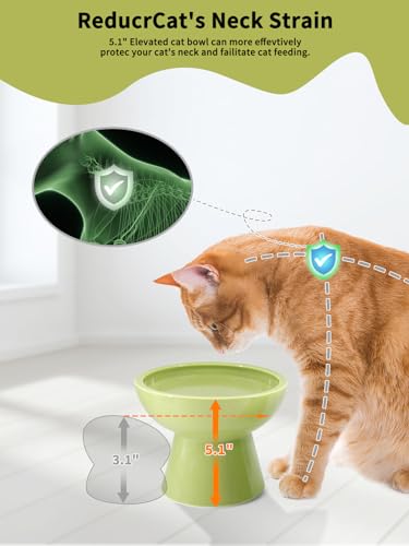 LoeJan Elevated Food and Water Bowls Set, Extra Wide and Raised Ceramic Feeder, Anti-Vomit Whisker-Free Pressure Cat Bowl for Kittens to Adult Cats, Small Dogs (Green, Water Bowl) - color: Green, size: Single (Water Bowl)