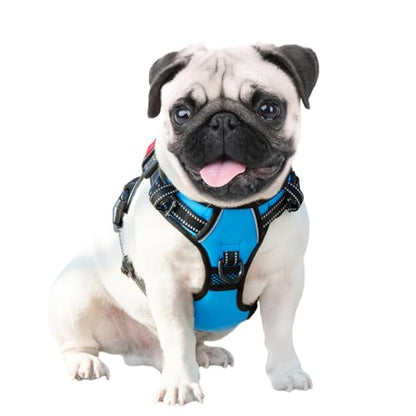 PHOEPET No Pull Dog Harnesses for Small Dogs Reflective Adjustable Front Clip Vest with Handle 2 Metal Rings 3 Buckles [Easy to Put on & Take Off](S, Blue) - color: Blue, size: Small