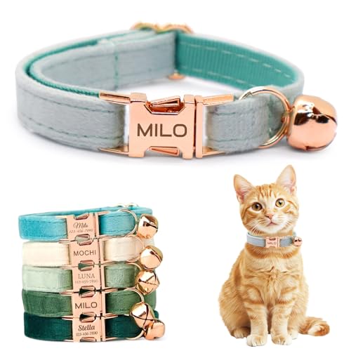 Personalized Non-Breakaway Cat Collar with Name, Luxury Soft Velvet Custom Engraved Name Collar with Bell for Kittens & Cats (Columbia Blue, S (6.5-10.5 inches)) - color: Columbia Blue, size: S (6.5-10.5 inches)