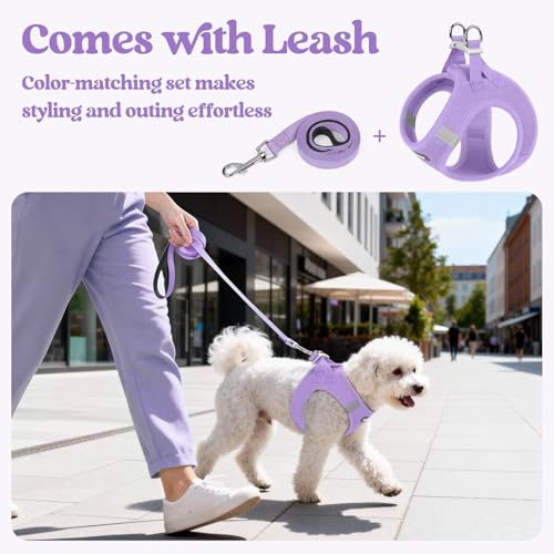 rabbitgoo Dog Harness Small Sized and Leash Set, Step in Soft Light Puppy Vest, Breathable Mesh Pet Harness, Reflective for Safe Easy Walking, Light Purple M - color: Light Purple, size: M (chest: 16 - 18.5")
