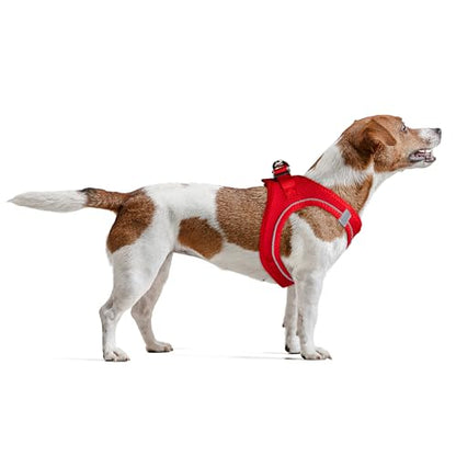 Filbert Dog Harness Large Sized Dog, Step-in Reflective Harness Large Sized Dogs, Mesh Vest, Adjustable, Soft, High Reflectivity, Breathable Fabric, Heavy Duty, Red - color: Red, size: XL (Chest: 20.75 - 23")