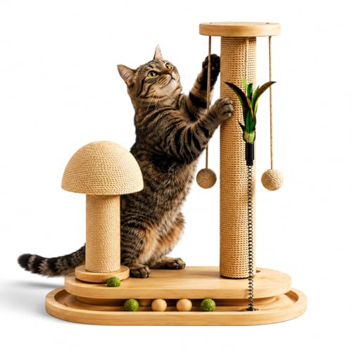 PurrTracks Dual-Track Cat Scratcher with Feather Toy