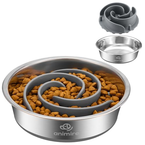 2-in-1 Metal Dog Bowl with Slow Feeder Insert, Stainless Steel Dog Bowls Food Grade 304, Water Food Bowl with Anti-Slip Silicone Base for Small, Medium, Large Breed Dogs - color: Grey, size: 1 Cup