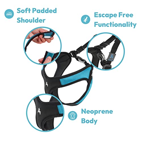 Gooby Escape Free Easy Fit Harness - Blue, Small - No Pull Step-in Patented Dog Harness with Quick Release Buckle for Small to Medium Dogs - color: Blue, size: Small chest (16~19.25")
