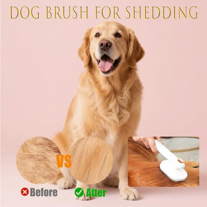 4 Set Dog Brushs for Shedding, Cleaning Kit with Grooming Brush, Dog Brush, Pet Hair Removal Glove and Storage Bag, Self-Cleaning Grooming Kit for Long/Short Hair, Best Cleaning Kit