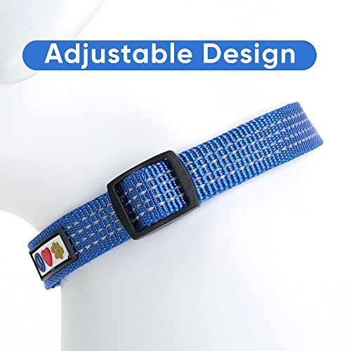 Pawtitas Reflective Dog Collar for Small Dogs – Adjustable Nylon Puppy Collar with Quick-Release Buckle | Fits Neck 11–16 in | Night Safety Training Collar | S | Blue - color: Blue, size: Small (Pack of 1)