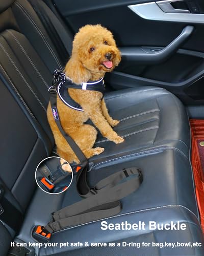 Hotsky Heavy Duty Dog Leash with Two Padded Handles,4.5-6 FT Adjustable Nylon Seatbelt Dog Leash with Traffic Handle and Carabiner for Large Medium and Small Breed Dogs that Pull,Black - color: No Bungee(4.5-6FT,All),Black, size: Standard
