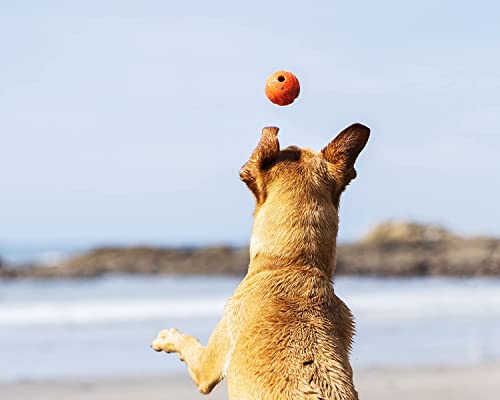 ChuckIt! High-Bounce Rubber Fetch Ball, Small (Colors Vary) 2 Pack - color: Multi, size: Small (Pack of 2)