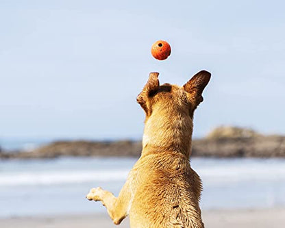 ChuckIt! High-Bounce Rubber Fetch Ball, Small (Colors Vary) 2 Pack - color: Multi, size: Small (Pack of 2)