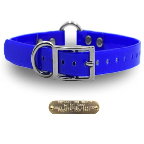 Outdoor Dog Supply 1" Heavy Duty Waterproof D-Ring & Center O-Ring Dog Collar for Medium & Large Dogs | Custom 3/4" Brass Nameplate (Dark Blue, 21") - color: Dark Blue, size: 21" Long