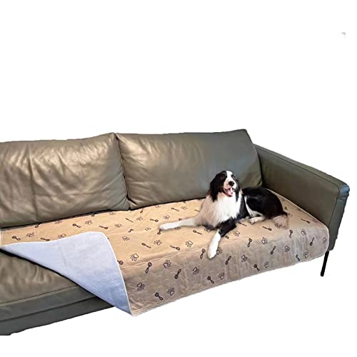 Peepeego 48x96 Extra Large Dog Pad Washable and Free Dog Comb, Reusable Pee Pad with Fast Absorbent, Waterproof, Premium Non Slip Pet Carpet for Hallway - size: 48x96 Inch (Pack of 1)