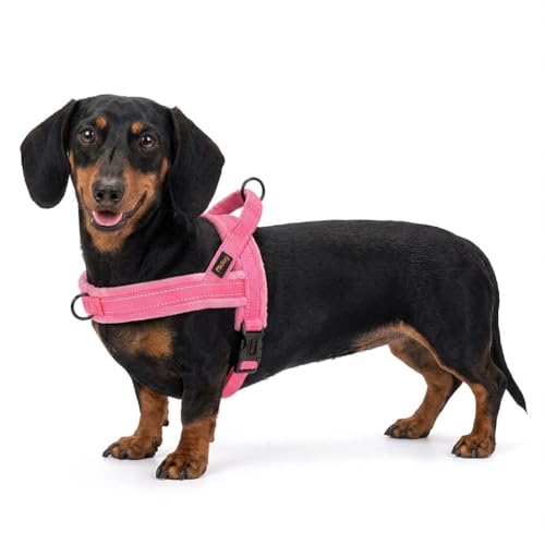 Didog Soft Flannel Padded Dog Vest Harness, No Pull/Quick Fit Reflective Dog Strap Harness, Easy for Training Walking (XS:Chest 15-18", Pink) - color: Pink, size: XS:chest 15-18"