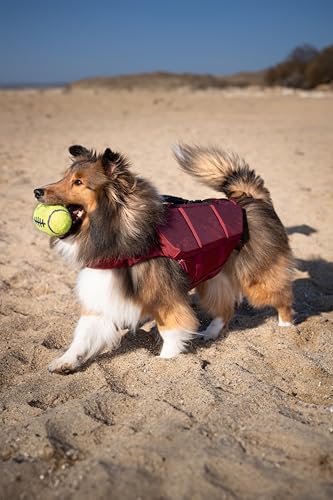 NOAH & PAW Dog Life Jacket, Human Standards Lifejacket Design, Dog Life Vest for Swimming and Boating, 3X Foam Support for Max Floating, Breathable Mesh, Salvavidas para Perros, Size XL - size: XL