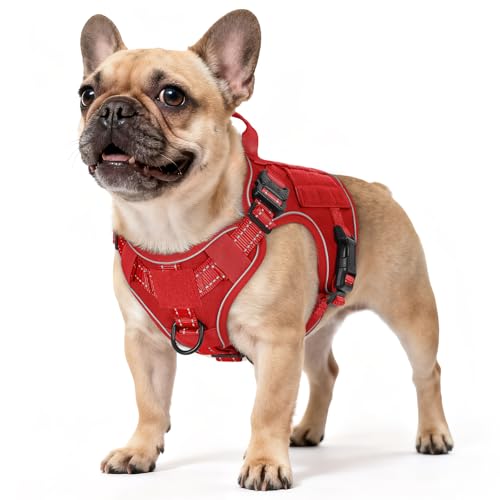 rabbitgoo Tactical Dog Harness Small Sized, No Pull Upgraded Reflective Heavy Duty Molle Vest with Handle, Adjustable Military Service Dog Vest for Walking Hiking Training, Red, S - color: Red Reflective, size: Small