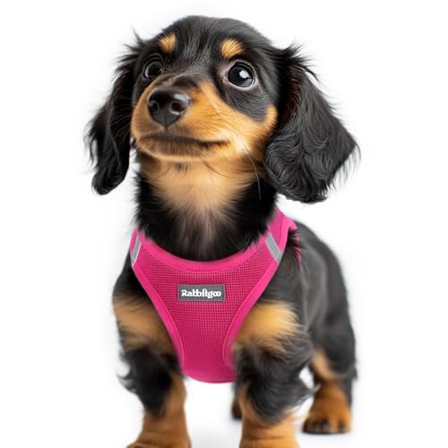 rabbitgoo Small Dog Harness, Step-in Soft Mesh Puppy Vest with Safety Buckle, Breathable Reflective Pet Harness for Extra Small Dogs, Rose Red XXS - color: Rose Red, size: Xxs(chest:12.4"-14.2")