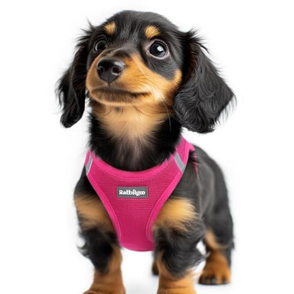 rabbitgoo Small Dog Harness, Step-in Soft Mesh Puppy Vest with Safety Buckle, Breathable Reflective Pet Harness for Extra Small Dogs, Rose Red XXS - color: Rose Red, size: Xxs(chest:12.4"-14.2")