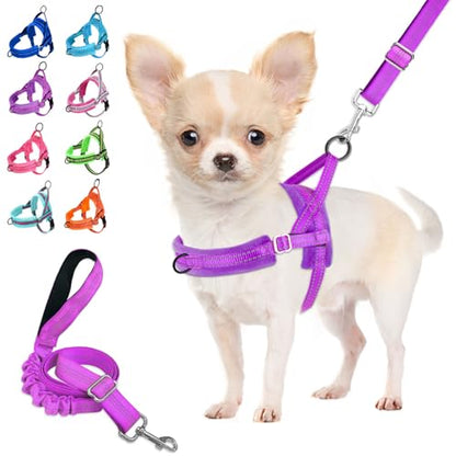 Lukovee No Pull Dog Harness and Leash Set, Soft Padded Small Dog Harness, Neck & Chest Adjustable Reflective Vest Puppy Harness with 4ft Lightweight Anti-Twist Dog Leash for Small Dogs (XS, Purple) - color: A-Purple, size: XS ( Chest 14'' ~ 18'')