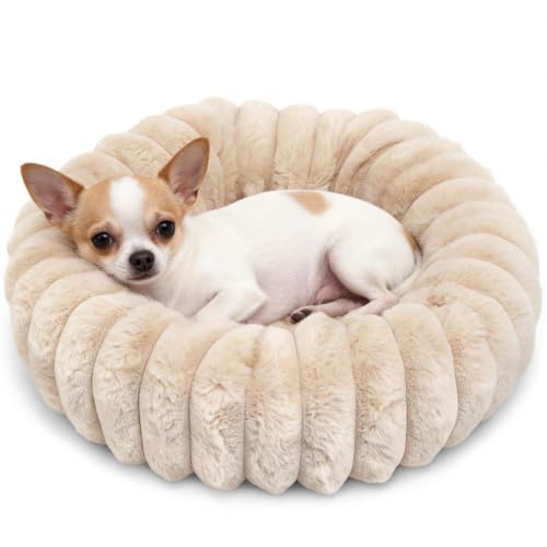 Mini Dog Bed for Very Small Dogs & Cats Washable, Fluffy Round Extra Small Kitten Beds for Indoor Kittens, Ultra-Soft Tiny Puppy Cat Donut Bed for Cozy Sleep, Beige, 16 x 16 x 3.5 Inch - color: Beige, size: 16"L x 16"W x 3.5"Th
