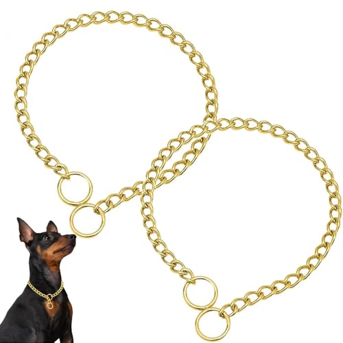 Gold Choker Collar for Dogs, 2Pack Heavy Chain Dog Collar Metal Training Slip P Link Martingale Collars Puppy Choke Chain for XXS XS Small Medium Large Breed Dogs, L - color: 2Pack Gold, size: L(Neck Max 20inch)D3.5mm