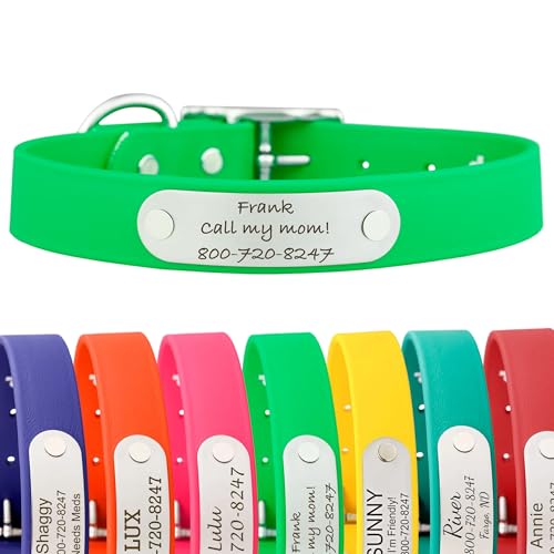 dogIDs Personalized Dog Collar – Custom Waterproof Soft-Grip Biothane with Laser-Engraved Nameplate, Durable & Odor-Resistant, USA Made | Bright Green, 1 in x 16 in (Fits Necks Size 14-18 in) - color: Bright Green, size: 1 in x 16 in (Fits Necks Size 14-1