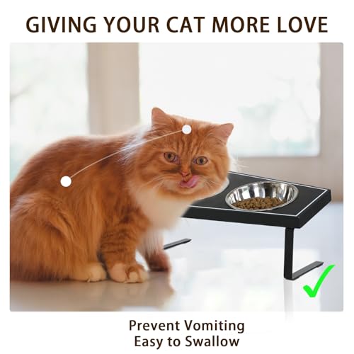Cat Food Bowls Elevated, Gothic Cat Bowls, Raised Cat Bowls for Indoor Cats with Non-Slip Stand & Wood Board, Stainless Steel and Whisker Friendly Food Bowls - size: Cat Bowls x2