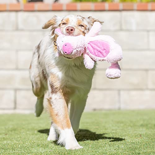 Huxley & Kent Slappies for Dogs | Piggie Smalls (Small) | Squeak & Shake Dog Toy | No Stuff Squeaky Toy, TPR Ball in Head | Simulates Hunting Nature for Dogs - size: Small, style: Piggie Smalls
