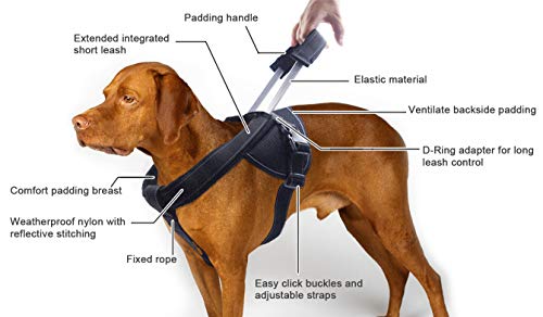 Heavy Duty Dog Harness for Medium and Large Dogs, No Pull Dog Vest Harness with Handle Extensible, Reflective Stitching (L) - size: L: Chest girth 26-34''