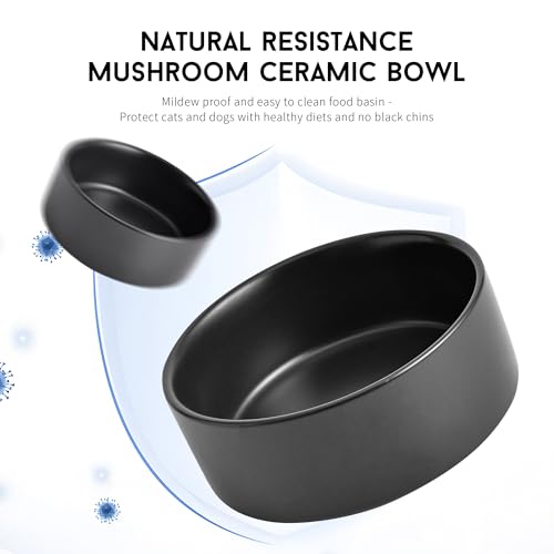 Mowtanco Black Ceramic Dog & Cat Bowl Set – 13.5 OZ with Wooden Stand, Non-Slip, Elevated Design for Small Dogs & Cats – 2 Bowls (Food & Water, Ceramic Pet Bowls, Modern Dog Bowls) - color: Black × 2