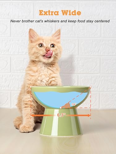 LoeJan Elevated Food and Water Bowls Set, Extra Wide and Raised Ceramic Feeder, Anti-Vomit Whisker-Free Pressure Cat Bowl for Kittens to Adult Cats, Small Dogs (Green, Water Bowl) - color: Green, size: Single (Water Bowl)