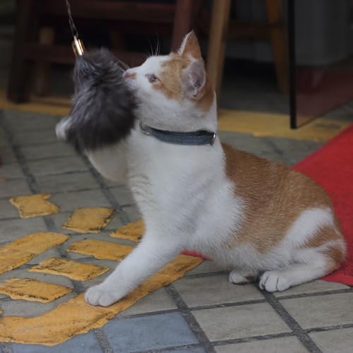 Fosrion Real Raccoon Tail Fur Cat Bites Toy with Three Section Retractable Carbon Fiber Rod (Fox Fur Piece, Tail & Fishing Rod) - color: Fox Fur Piece