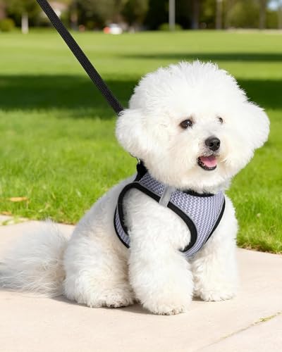 Dog Harness Small Sized and Leash Set, Step in Soft Light Puppy Vest, Breathable Mesh Pet Harness Suitable for Puppies and Kittens. (Purple, S(Chest:14.17-15.75")) - color: Purple, size: S(Chest:14.17-15.75")