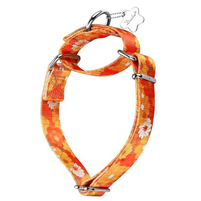 Martingale Collar Dog Collar No Pull Pet Collar Heavy Duty Dog Martingale Collars Silky Soft with Unique Pattern for Medium and Large Dogs (M, Daisy) - color: Golden Daisy, size: Medium: 14"-21", 1" Wide