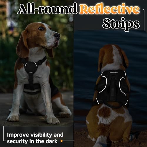 rabbitgoo Escape Proof Dog Harness, Soft Padded Full Body Pet Harness, Reflective Adjustable No Pull Vest with Lift Handle and Leash Clip for Large Dogs Walking Hiking Training, S, Black - color: Black, size: Small (Pack of 1)