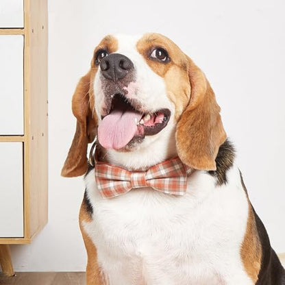 Plaid Dog Collar with Bowtie, Detachable and Adjustable Bow Tie Cat and Dog Collar with Metal Quick Release Buckle Pet Gift for Small Medium Large Dogs (Red, Medium) - color: Red, size: Medium