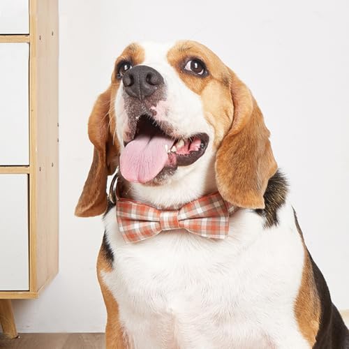 Plaid Dog Collar with Bowtie, Detachable and Adjustable Bow Tie Cat and Dog Collar with Metal Quick Release Buckle Pet Gift for Small Medium Large Dogs (Red, Small) - color: Red, size: Small