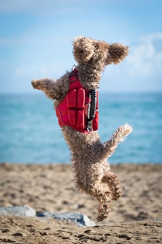 NOAH & PAW Dog Life Jacket, Human Standards Lifejacket Design, Dog Life Vest for Swimming and Boating, 3X Foam Support for Max Floating, Breathable Mesh, Salvavidas para Perros, Size S - size: S