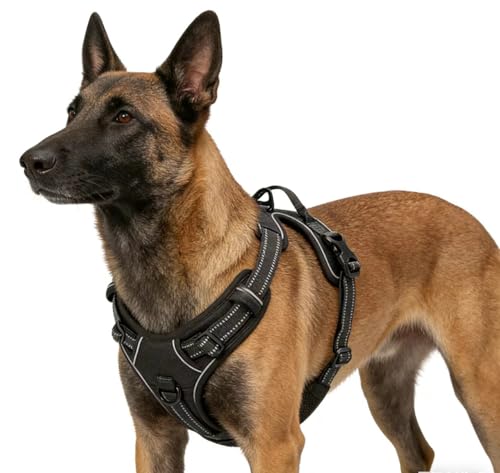 Adjustable Reflective Black No-Pull Dog Harness with 2 Leash Clips，Soft Padded Vest for Large Dog, Easy to Put on and Take Off, Black L - color: Black, size: Large