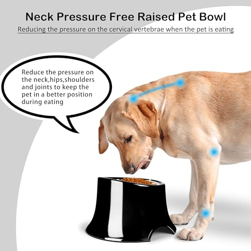 Tilted Elevated Dog Bowls Non-Slip & Non-Spill Pet Feeder with Elevated Detachable Melamine Stand, High Capacity Tilted Dog Bowl for Medium Small Size Dogs M/2 Cup Black - color: Black, size: M/2 Cup