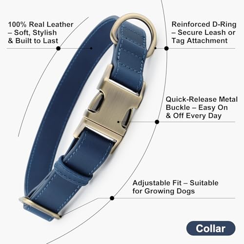 Plutus Pet Genuine Leather Dog Collar – Adjustable Pet Collar with Quick Release Metal Buckle, Soft Real Leather for Small Medium Large Dogs, Heavy Duty & Skin-Friendly (Royal Blue, XS) - color: Royal Blue, size: XS