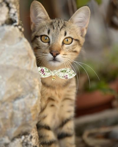 2 Pack Cotton Cat Collar, Removable Bowtie, Floral Pattern, Safety Breakaway Clasp, Adjustable for Cats.(Adult Cat, Check+Green) - color: 2 Pack (Check+Green)