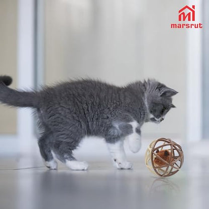 Squeaky Mouse Ball Cat Toy with Simulated Sound, Mouse Inside Cage, Squeky Balls for Cats to Play with Indoor, Squeak Interactive Plastic Funny Toys Best for Chewing Training Playing Chasing (Beige)