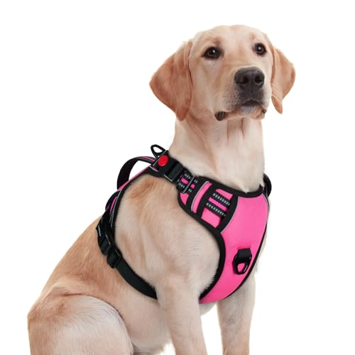 rabbitgoo Dog Harness Medium Sized, No Pull Pet Harness with Soft Padded Handle, Adjustable Reflective Vest with 3 Buckles, Easy Walking Harness with 2 Leash Clips, Pink, M - color: Pink, size: Medium