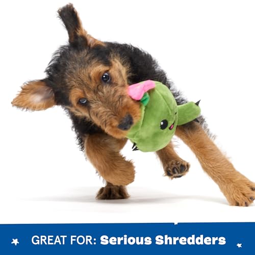Barkbox 2 in 1 Interactive Plush Dog Toy - Rip and Reveal Toy for Dogs and Puppies - Stimulating Squeaky Pet Toys | Consuela Cactus (Small) - color: Consuela - Small, size: Small Dog